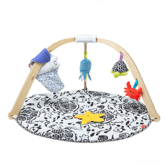 Easy-Fold Play Gym