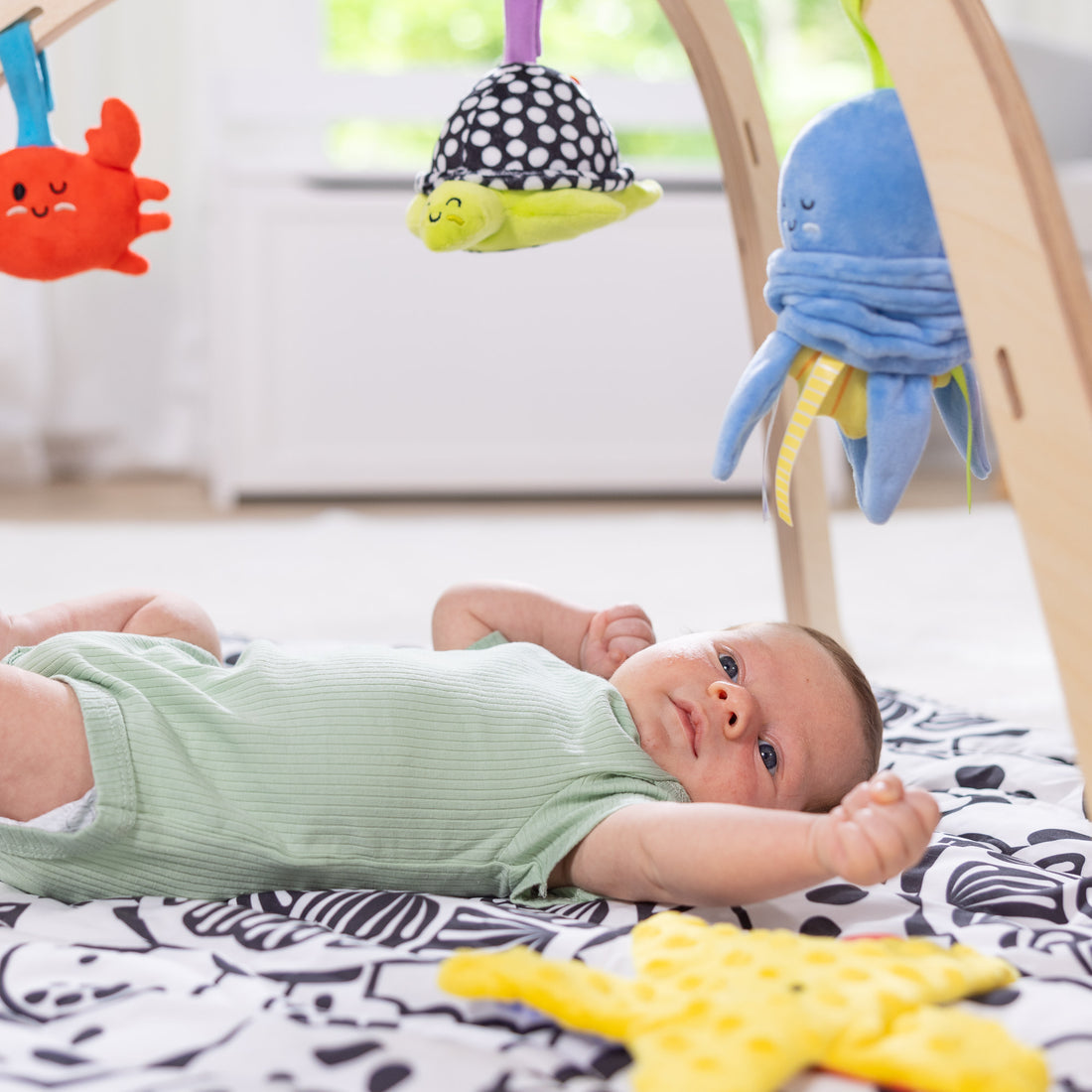 Easy-Fold Play Gym