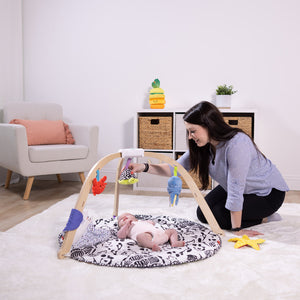 Easy-Fold Play Gym