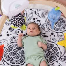 Easy-Fold Play Gym