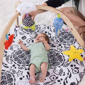 Easy-Fold Play Gym