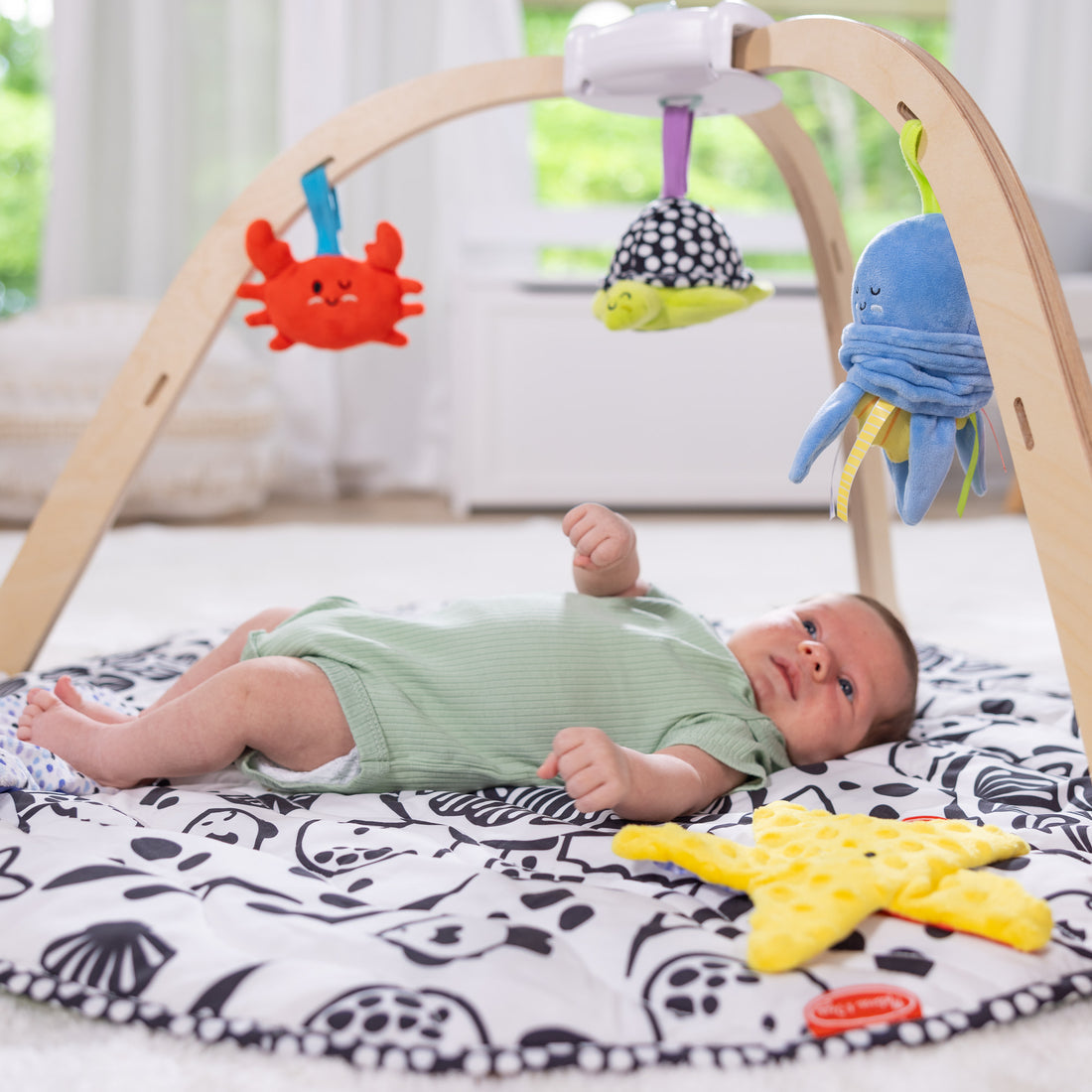 Easy-Fold Play Gym