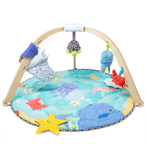 Easy-Fold Play Gym
