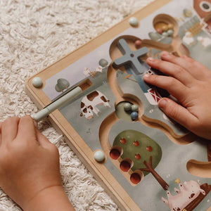 Little Dutch Magnetic Maze
