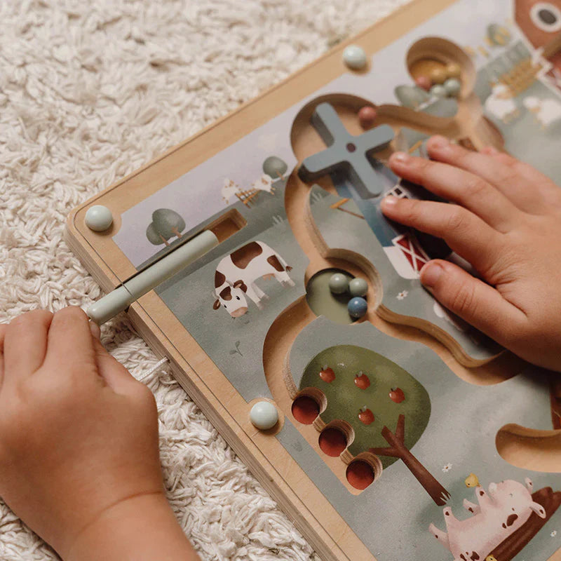 Little Dutch Magnetic Maze