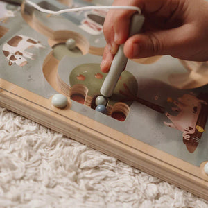 Little Dutch Magnetic Maze