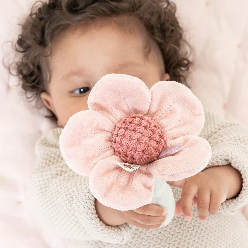 Little Dutch Rattle Flower