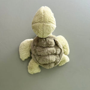Squirt the Turtle
