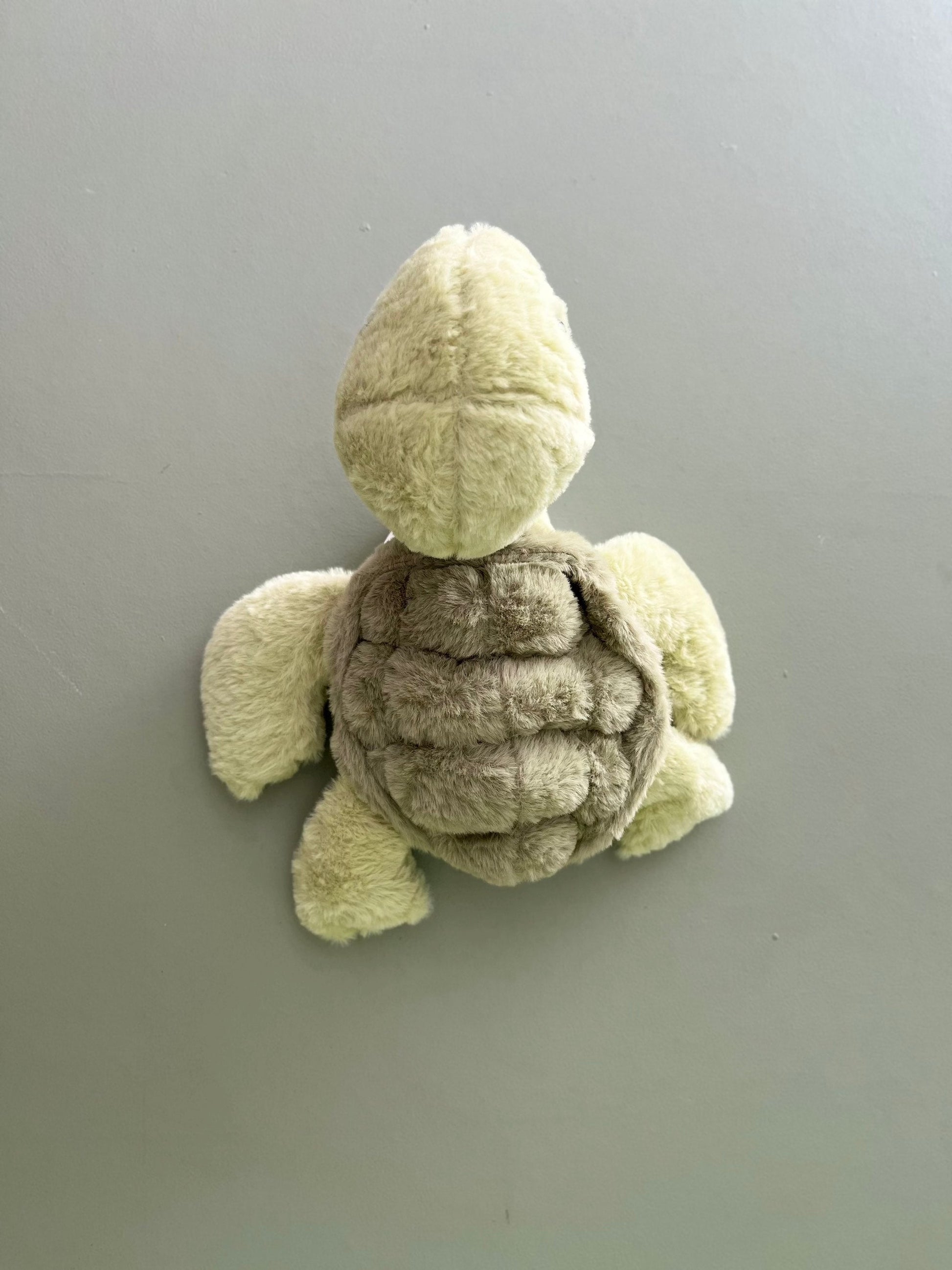 Squirt the Turtle