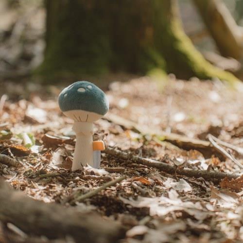 Little Dutch Rattle Mushroom