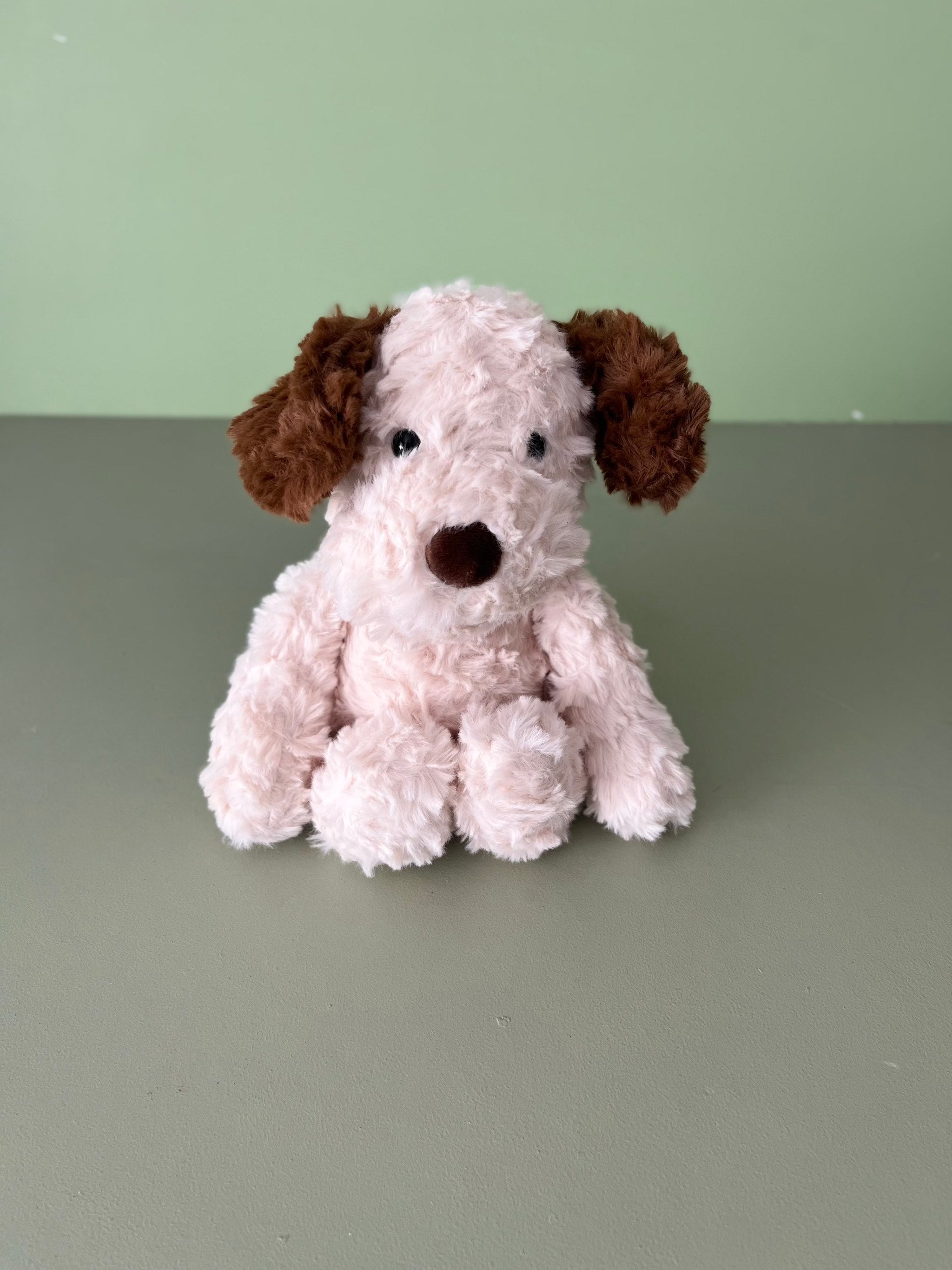 Biscuit the Cuddle Pup