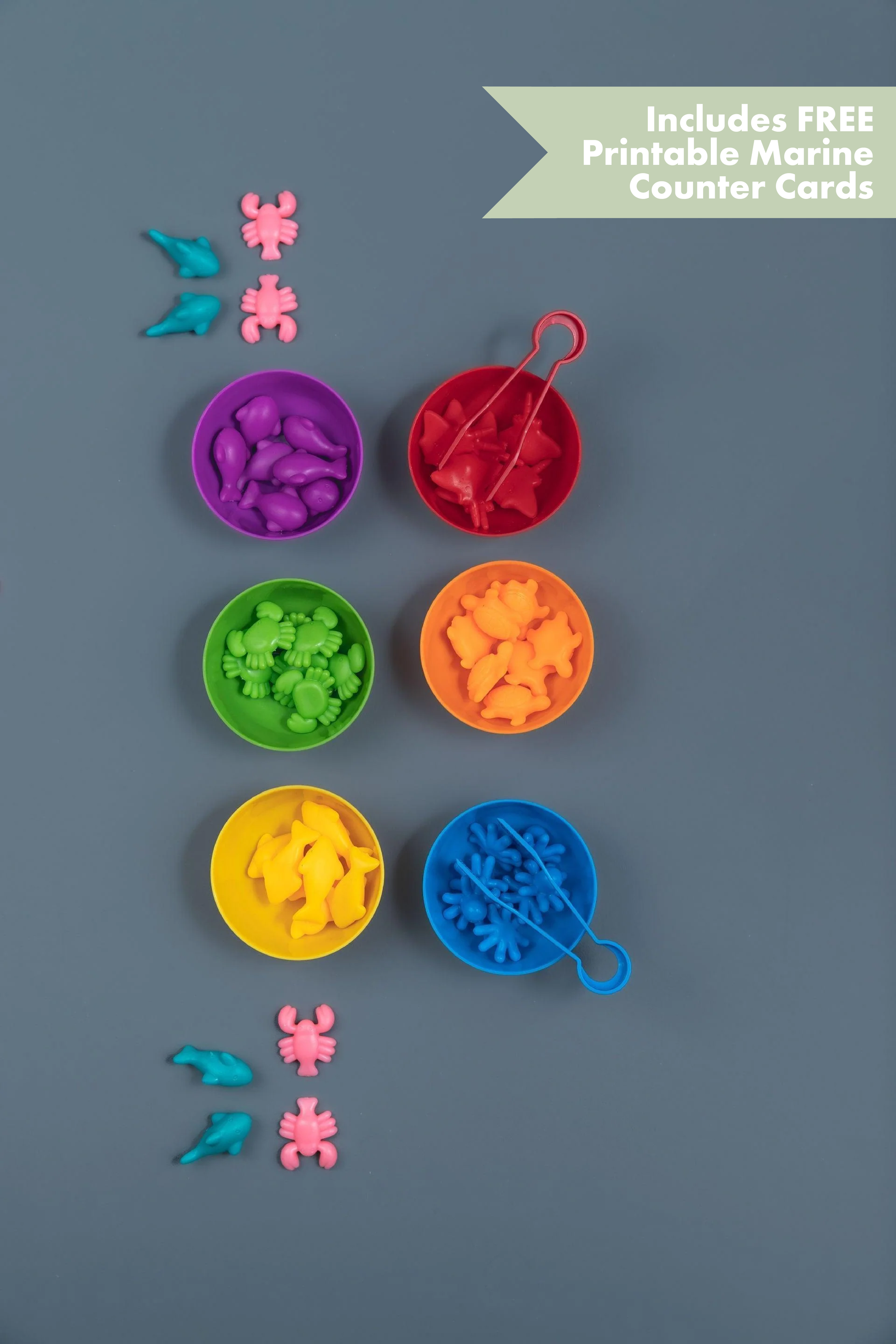 Counting & Sorting Sets